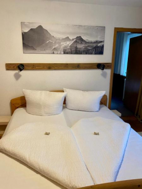 Apart Larcher Arzl Im Pitztal